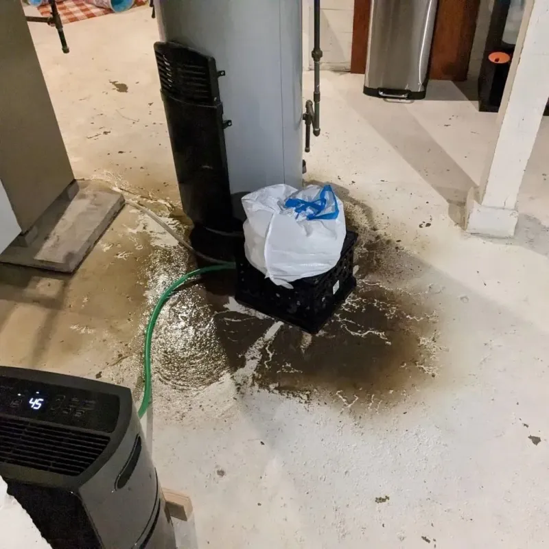 Sewage Backup Cleanup Service in Piute County, UT